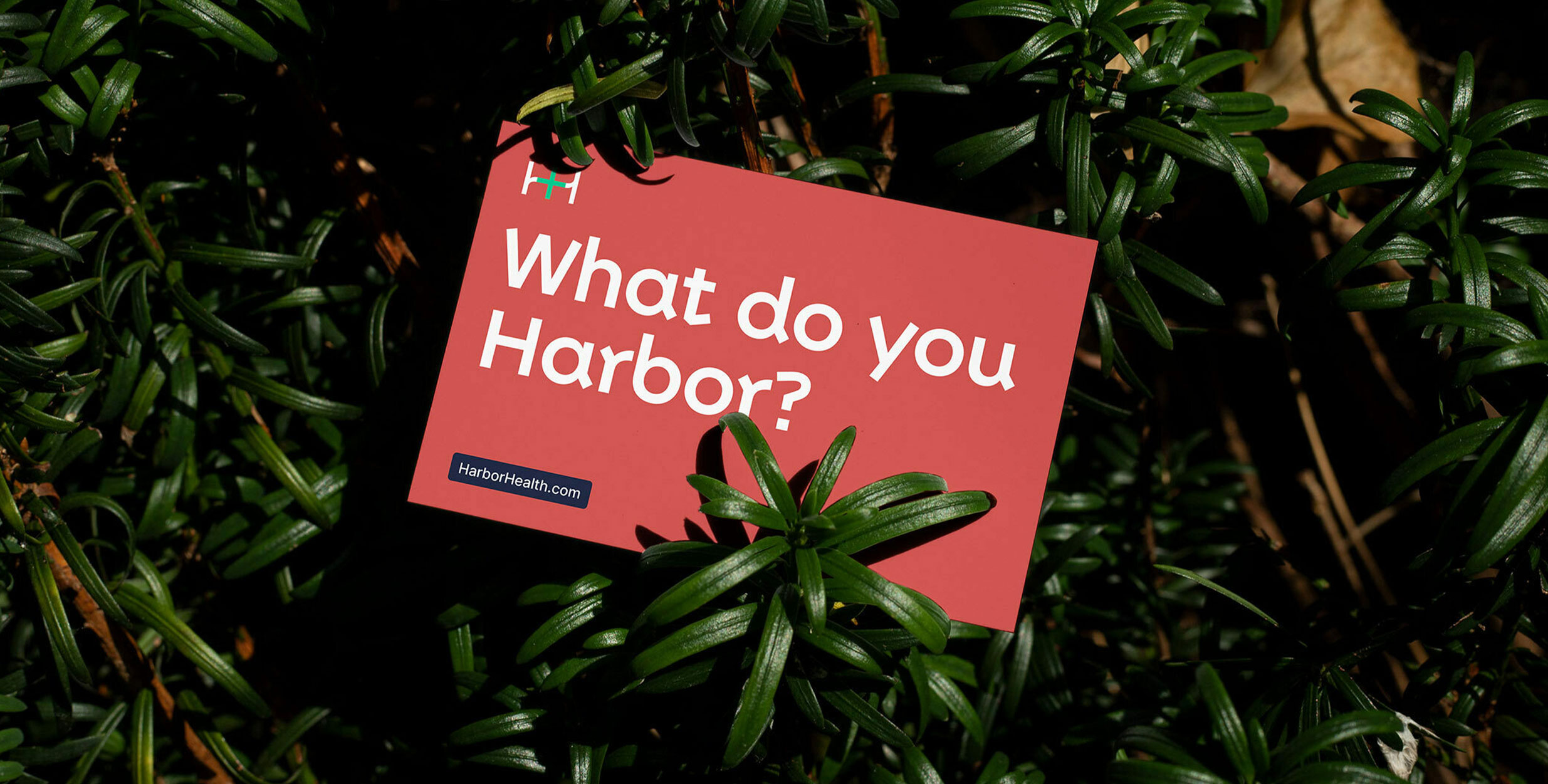 Harbor-Health_Close-1