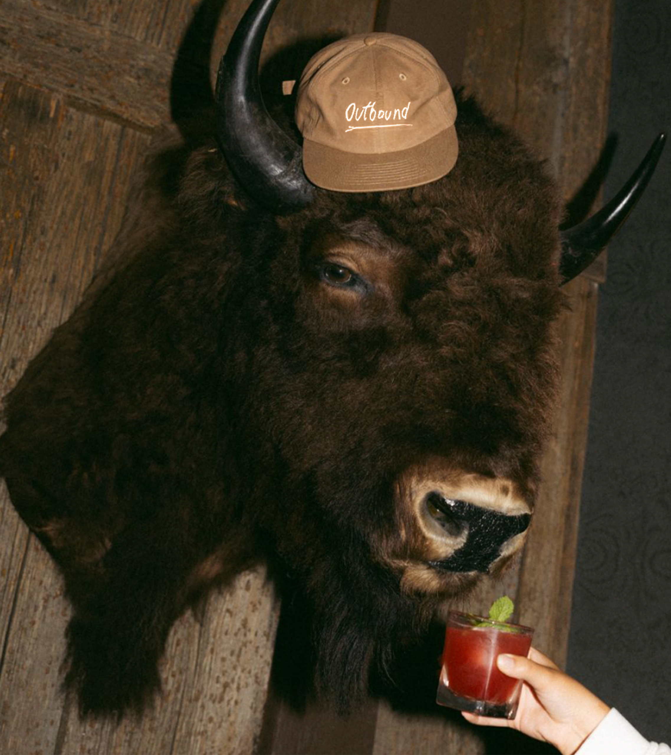 Outbound_Bison_half