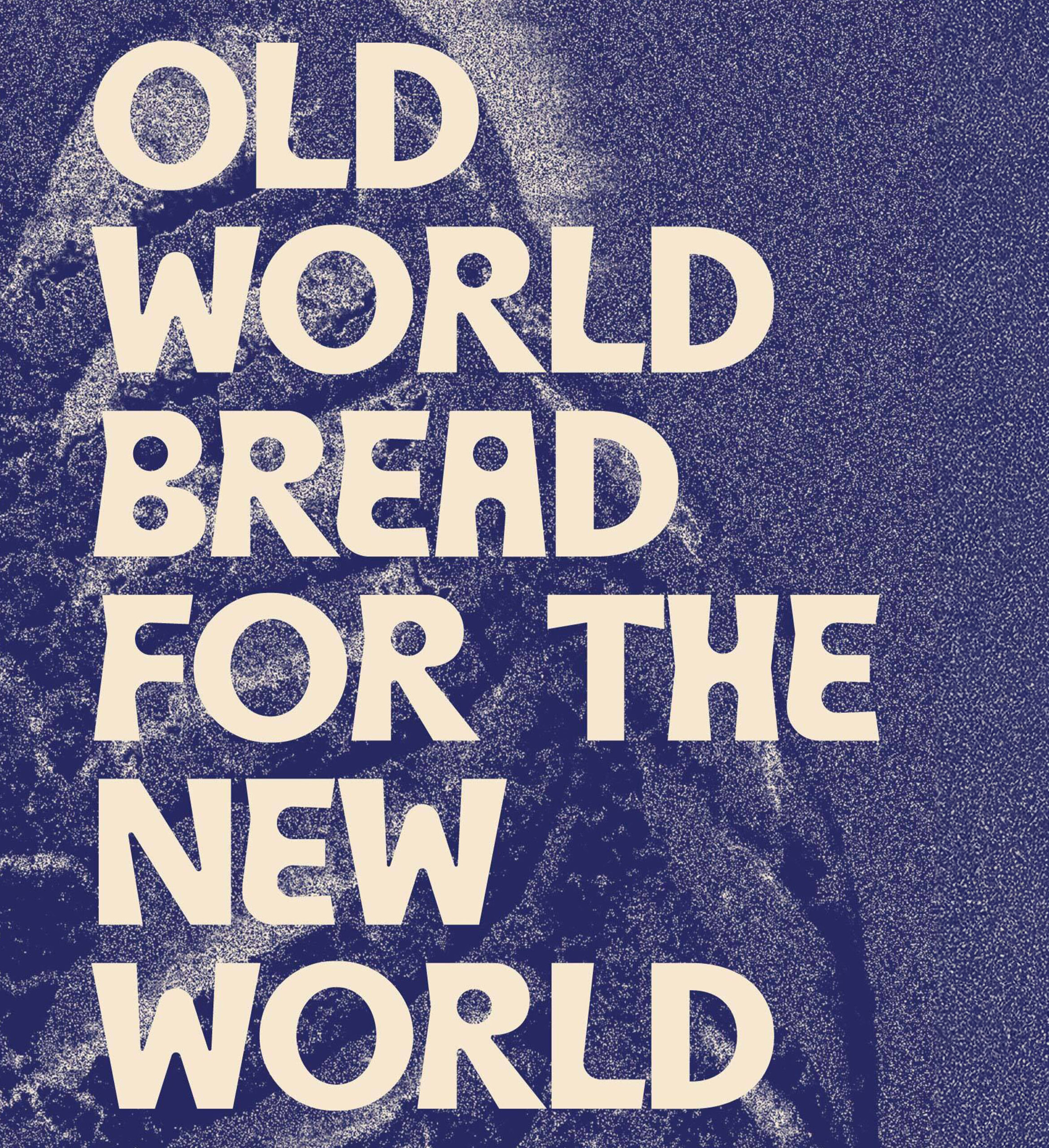 Razava_CaseStudy_05A-1