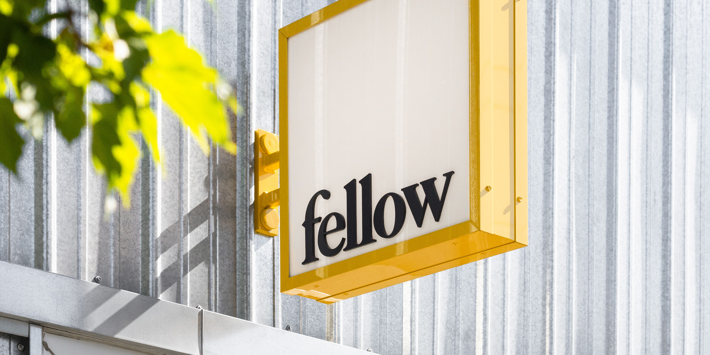 Fellow